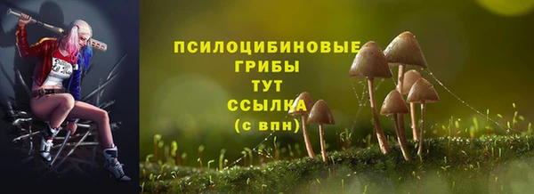 стафф Навашино