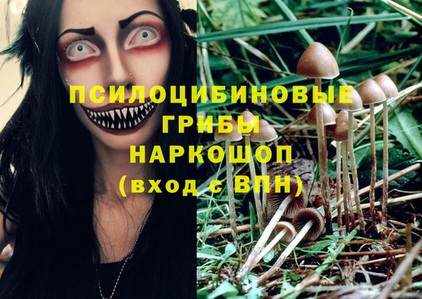 стафф Навашино