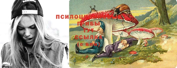 стафф Михайлов