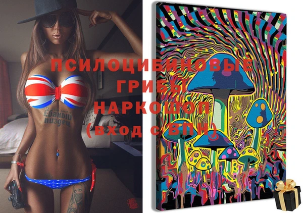 стафф Навашино