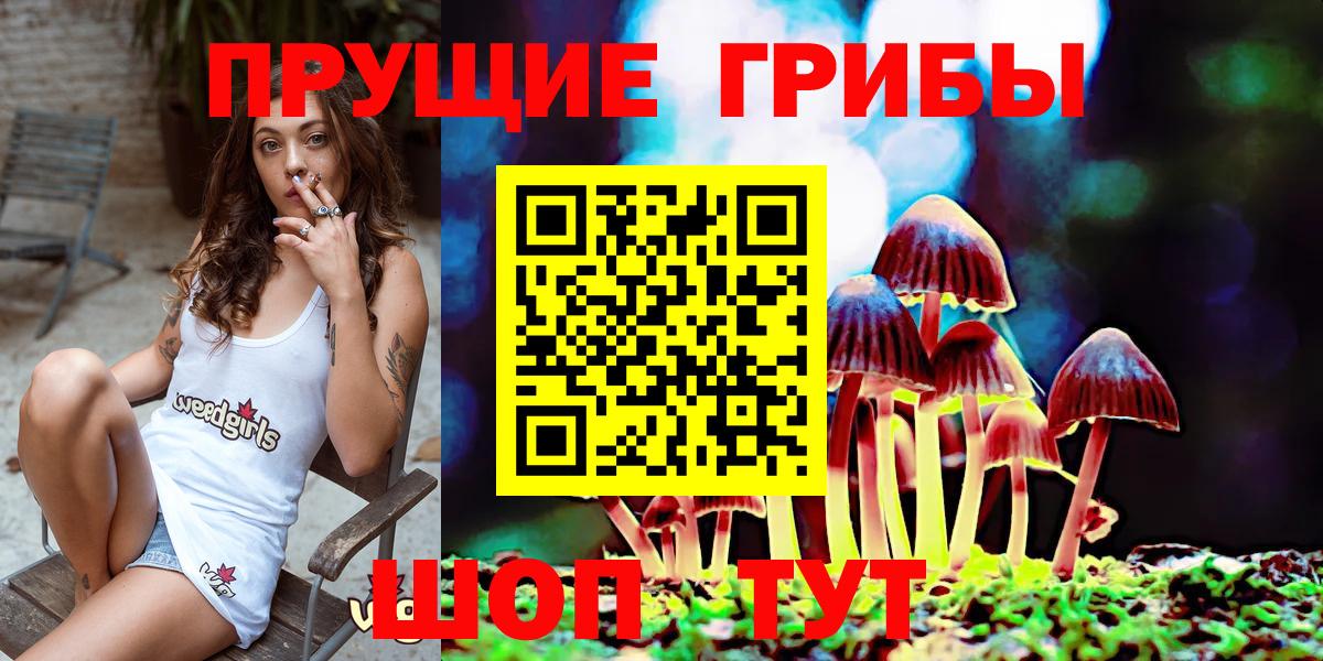 Псилоцибиновые грибы Psilocybe  Чусовой 