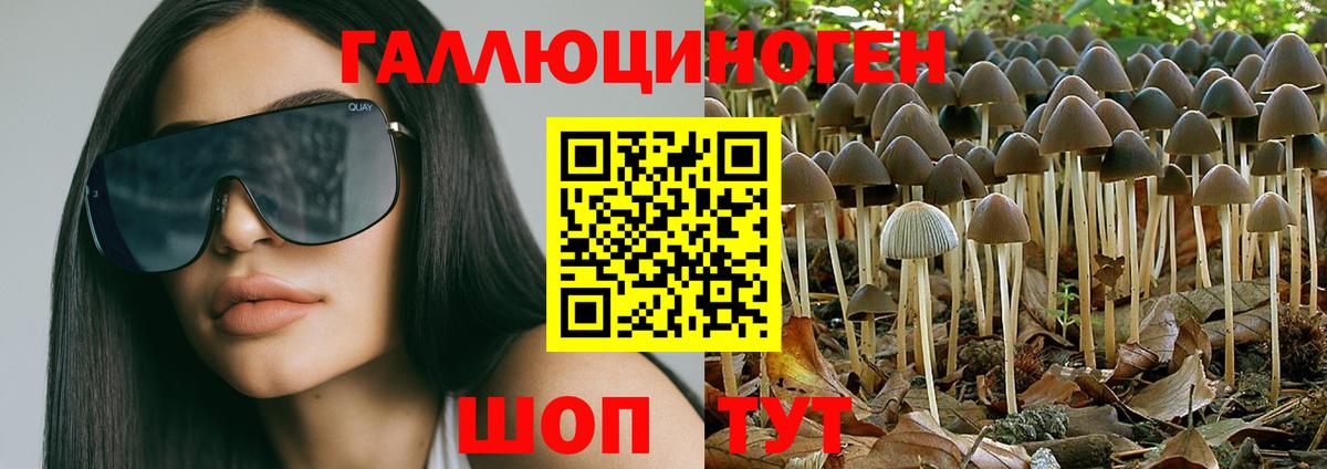 Галлюциногенные грибы Psilocybine cubensis  Вход с VPN  Псилоцибиновые грибы мицелий  Чусовой 