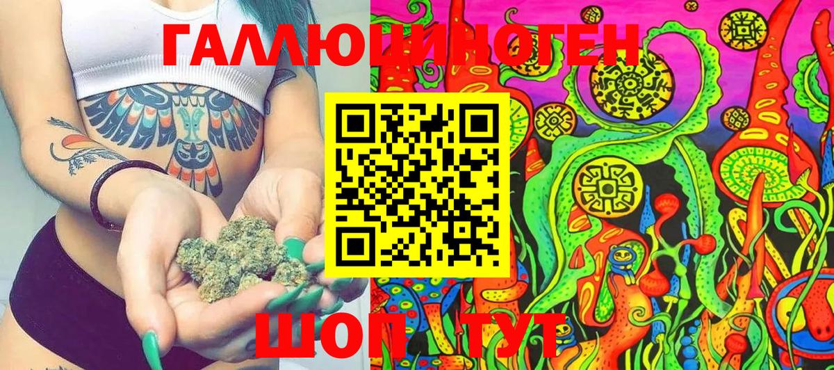 Псилоцибиновые грибы Psilocybe Чусовой