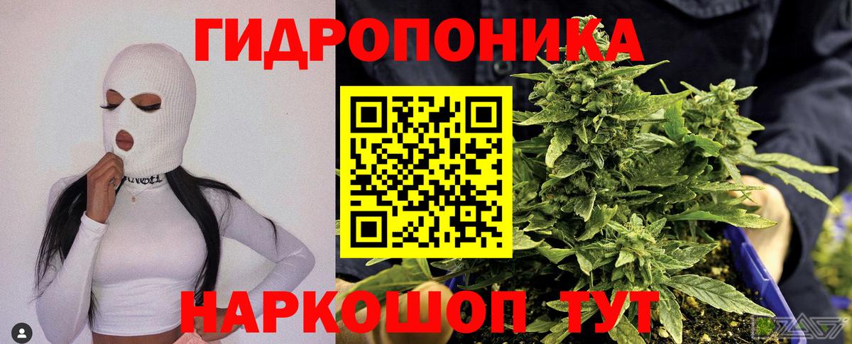 Шишки марихуана AK-47 Чусовой
